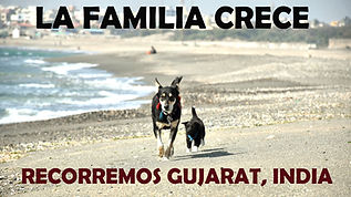 Portada India 004 yt.jpg