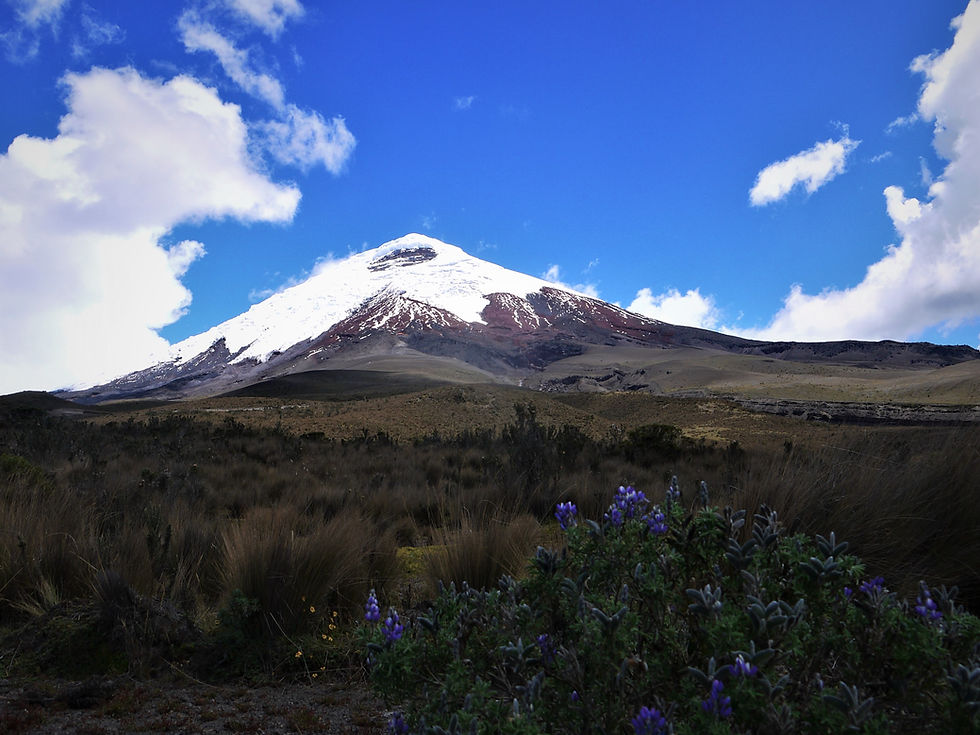 Parque Nacional Cotopaxi Ecuador