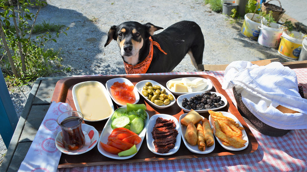 Kahvalti -Turkish breakfast- I was invited to in Sirince