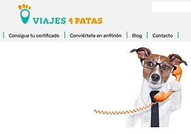 viajes 4 patas.jpg