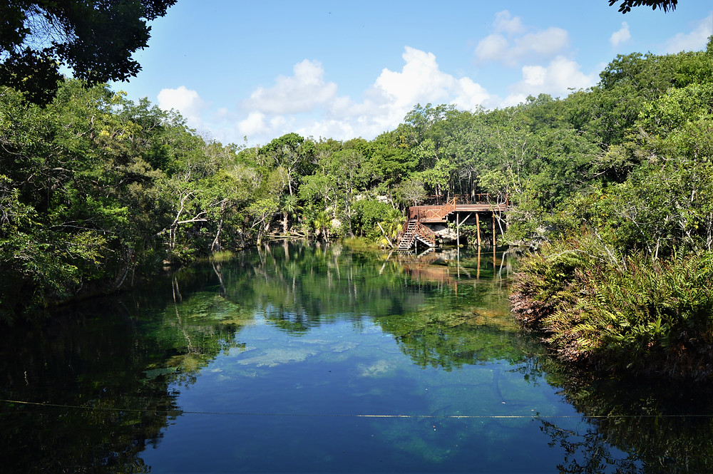 Riviera Maya México cenote Jardín del Edén