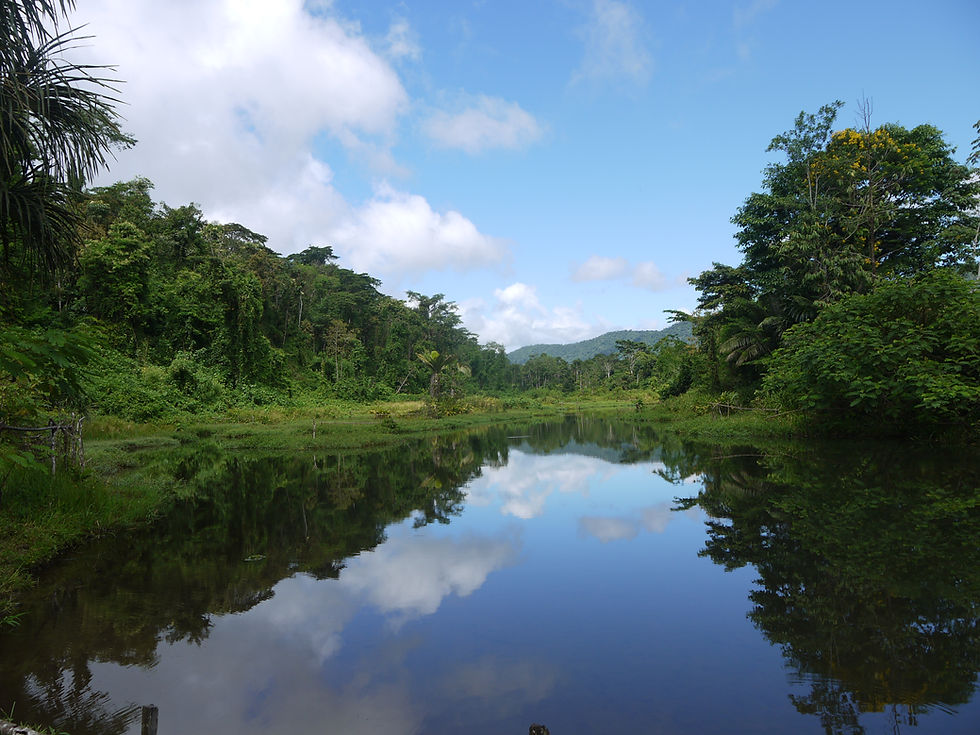 Around Manu National Park