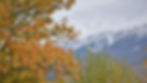 Gilgit