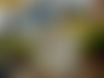 Sip and Savor: The Chilton Cocktail with a West Texas Real Estate Expert Lainie Eilenberger