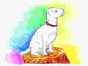 Terry-poo sits on stump wearing handmade macrame collar by indigenous artisans