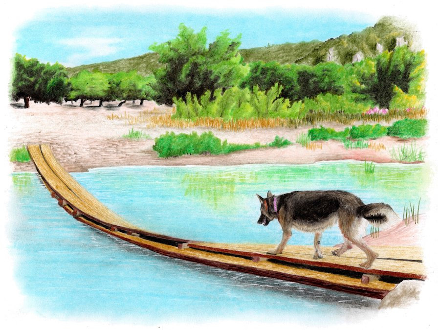 Drawing of German Shepherd crossing broken bridge over river