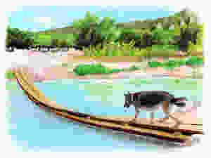 Drawing of German Shepherd crossing broken bridge over river