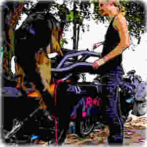 Cartoon of German Shepherd dog leaping onto motorcycle dog carrier