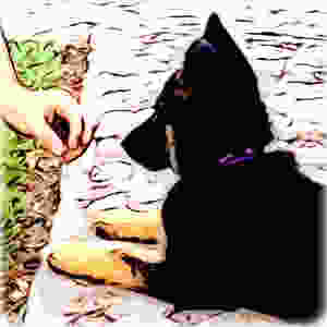 Cartoon of German Shepherd puppy in obedience training