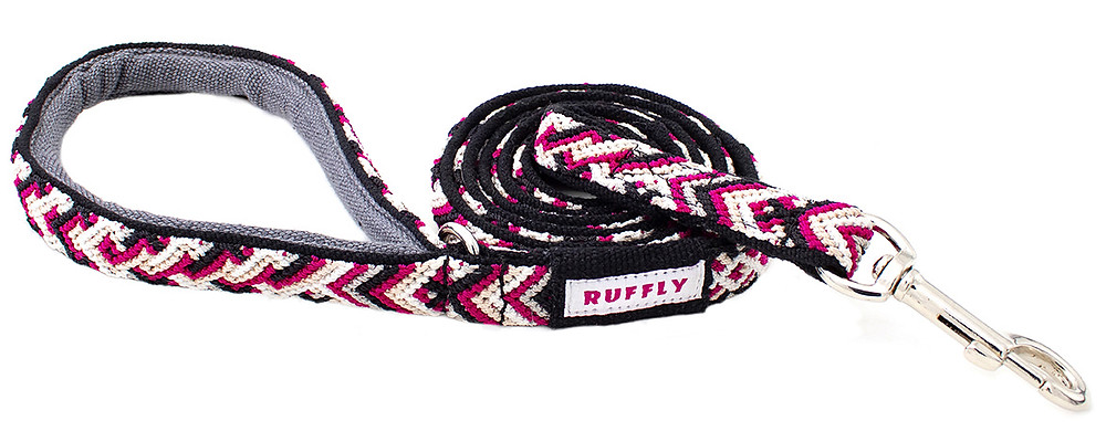 Red coiled tailwinds leash