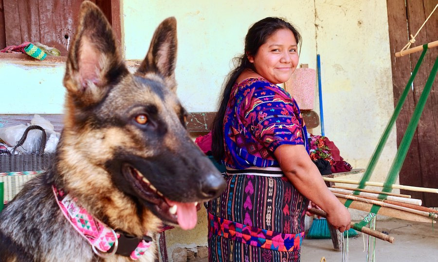 German shepherd and indigenous Guatemalan artisan and handmade dog apparel