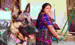 German shepherd and indigenous Guatemalan artisan and handmade dog apparel