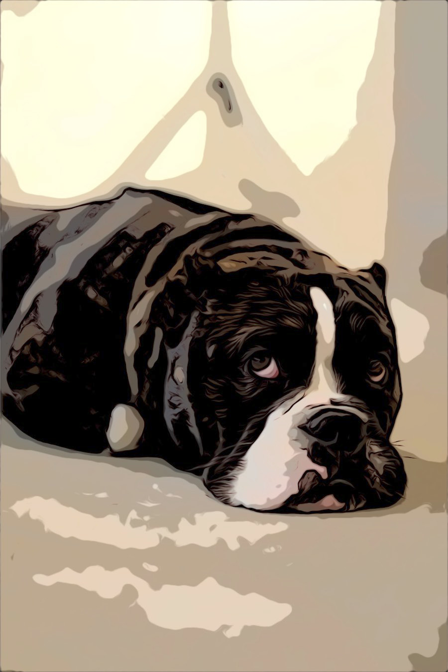 Black and white pit bull lays on grand looking very sad and scared