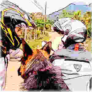 Cartoon of two motorcycle riders and a German Shepherd dog on a dirt road