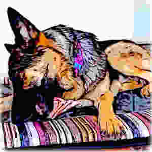 Cartoon of German Shepherd dog chewing bone on colorful handmade bed