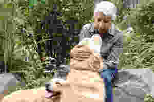 Older woman with two yellow dogs