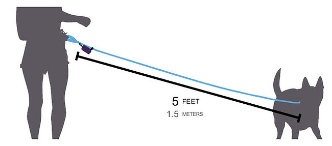 diagram showing dog leash that measures 5 feet/1.5 meters in length