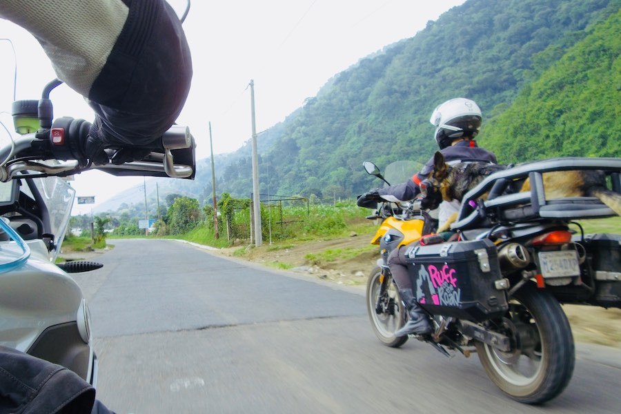 Woman with dog on motorcycle rides past another motorcycle