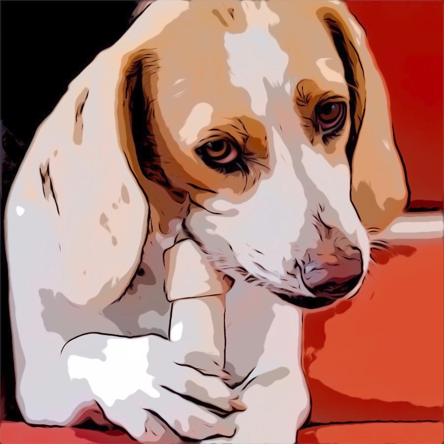 Comic cartoon dog chews on bone
