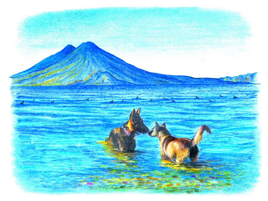 German Shepherd Moxie and Husky x German Shepherd mix Mini plan in Lake Atitlan, Guatemala
