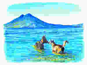 German Shepherd Moxie and Husky x German Shepherd mix Mini plan in Lake Atitlan, Guatemala