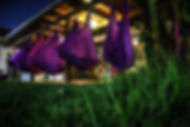 IMG_0451.jpeg
