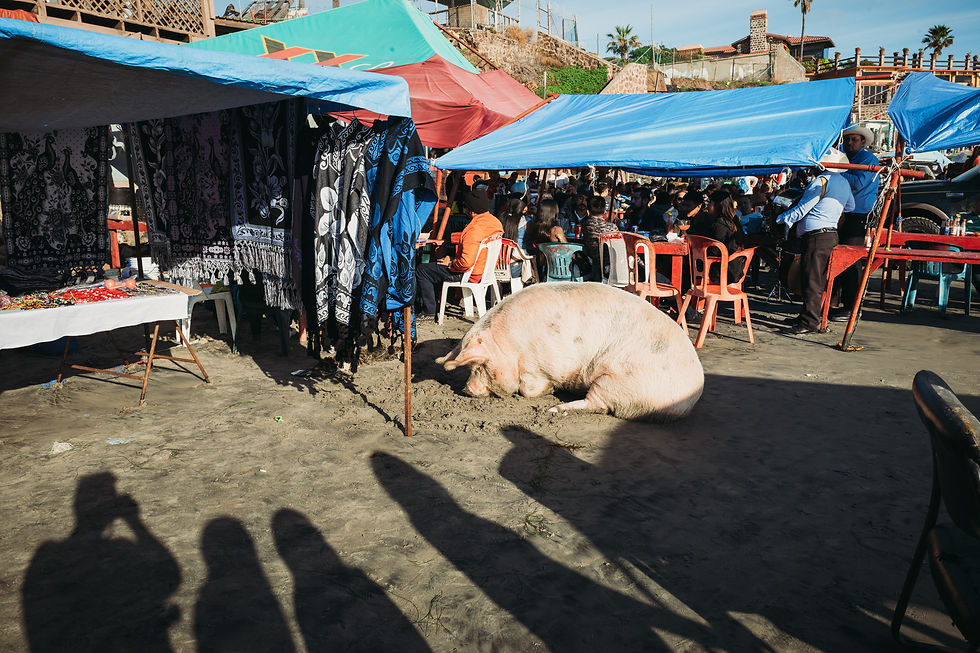 Fisherman's Village, Popotla, Mexico