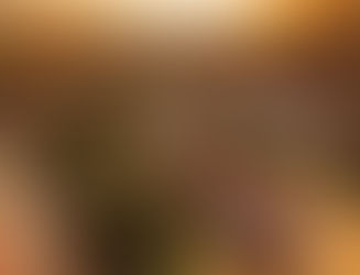 A little about Dois Córregos - SP