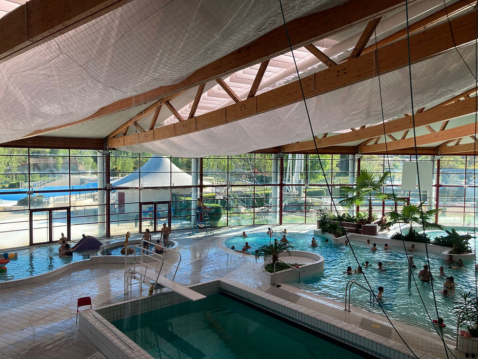 Nautilis.jpeg