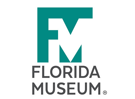 florida museum.jpg