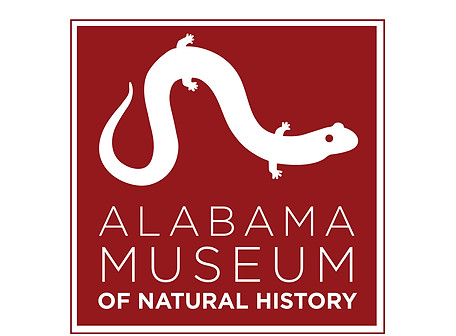 Alabama museum.jpg