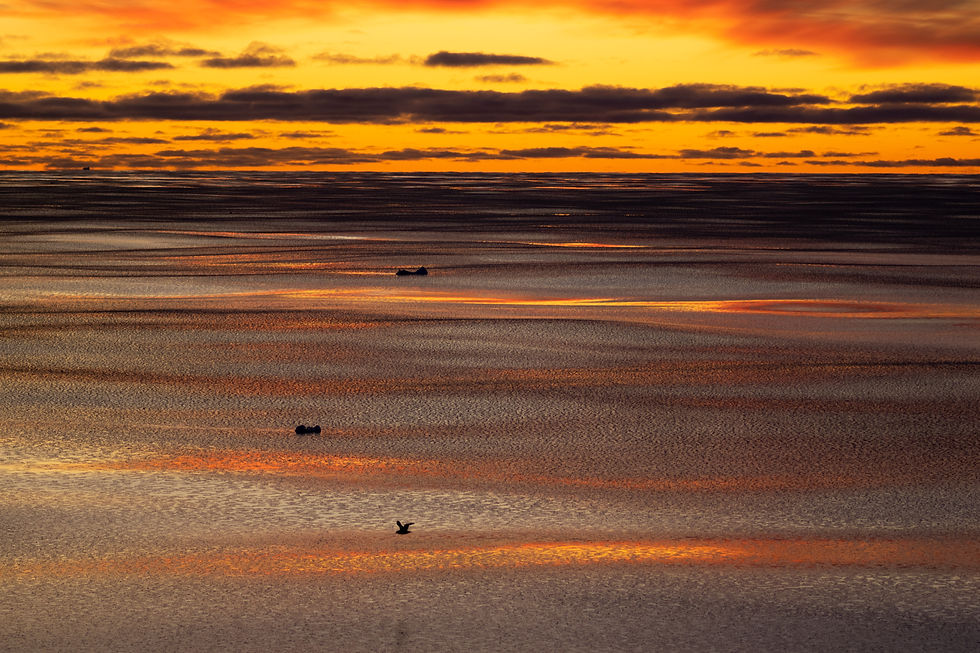 Dramatic orange sunrise over Southern Ocean. Gentle rolling waves covered in pancake ice and small chucks of ice. Bird flys in foreground. Photo by: Chandler Olson