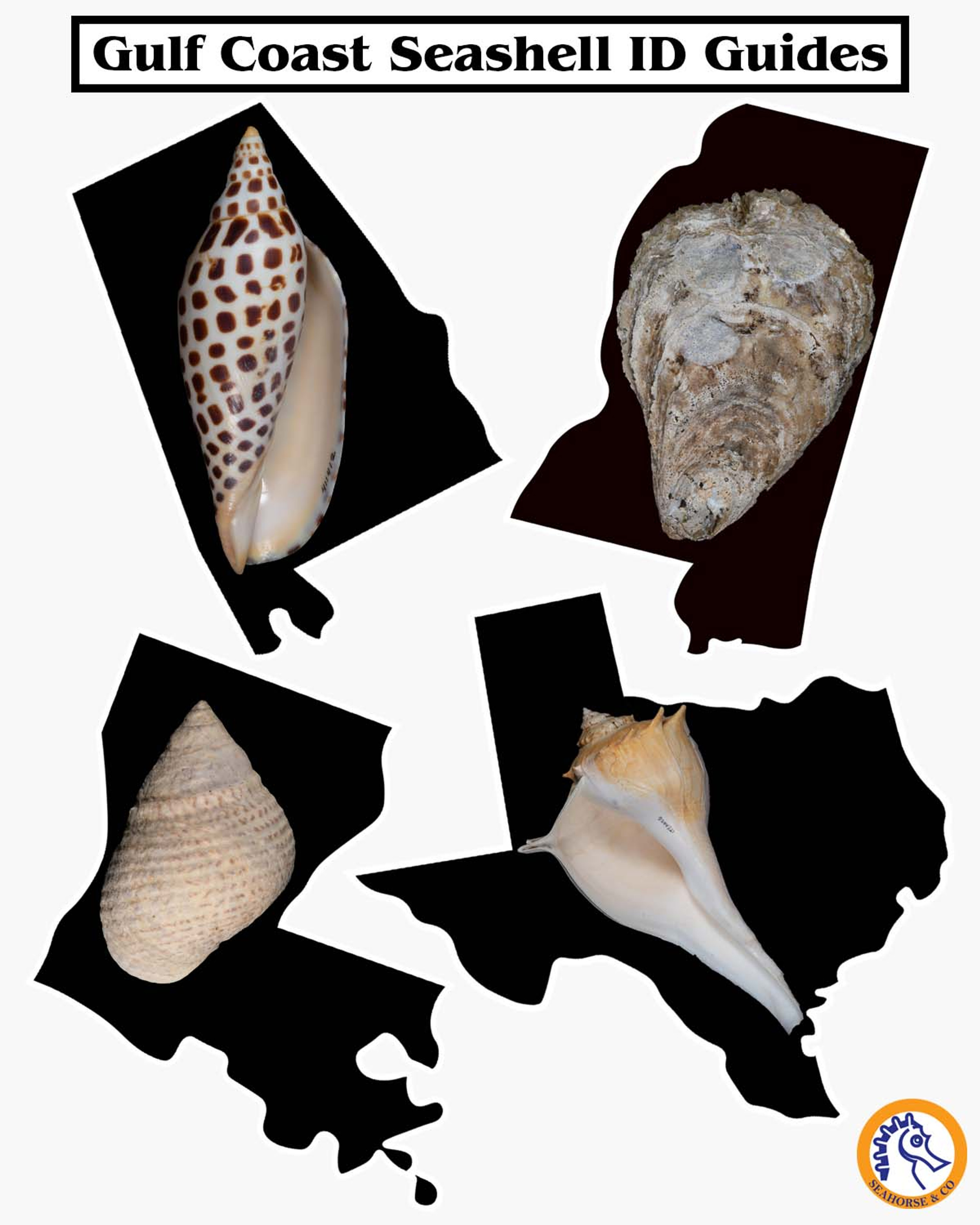 Gulf Coast Identification Guides