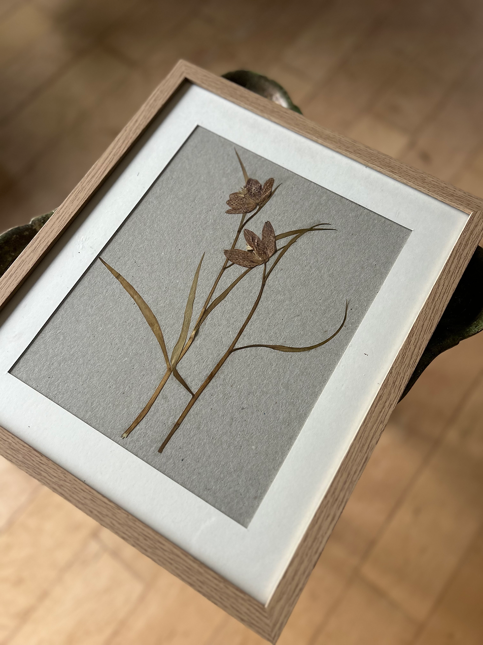 Thumbnail: Snakeshead Fritillaria Pressed Flowers