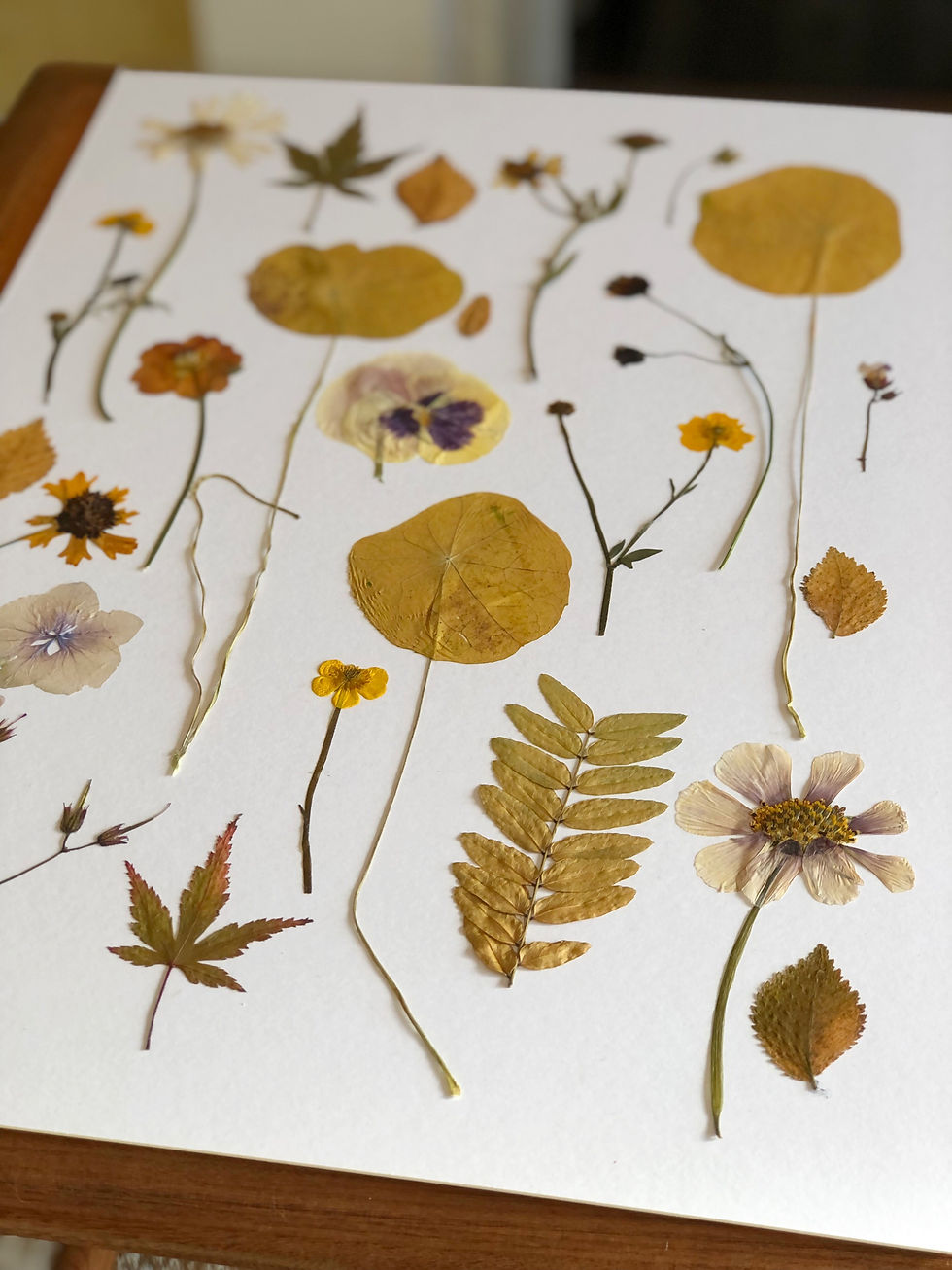 Thumbnail: 'Spring to Autumn Garden' Pressed Flower Art