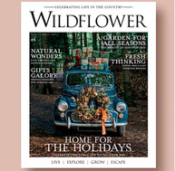 Cover of Wildflower Magazine