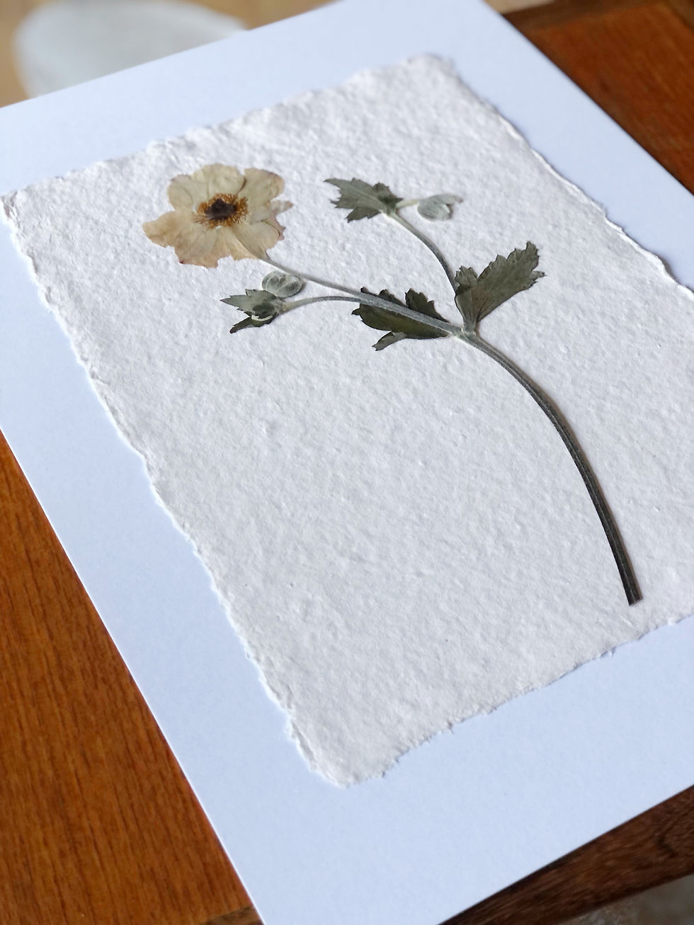 Thumbnail: 'Japanese Anemone' Pressed Flower Art