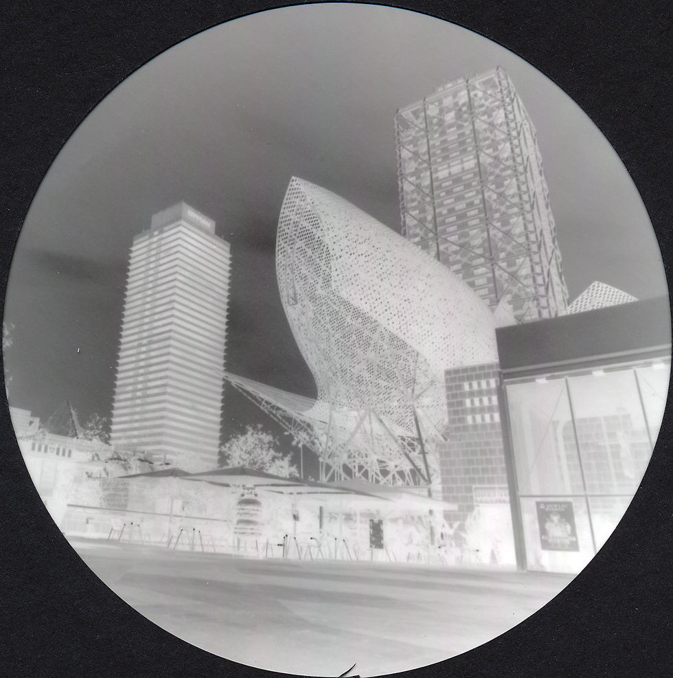 Barcelone 24