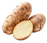 potato yacon.png
