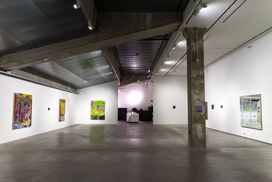 Iisa Maaranen Porvoon taidehalli