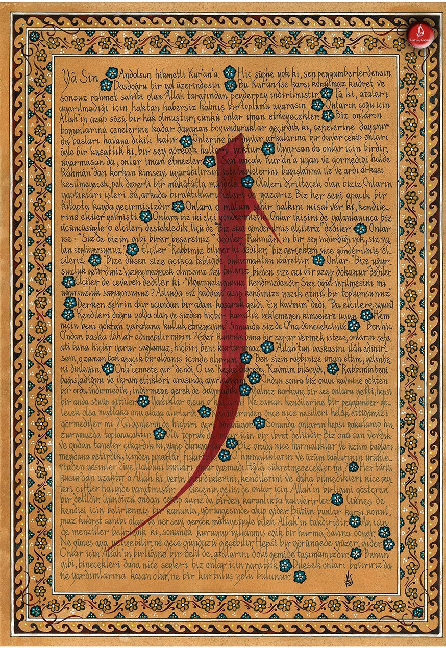 036d