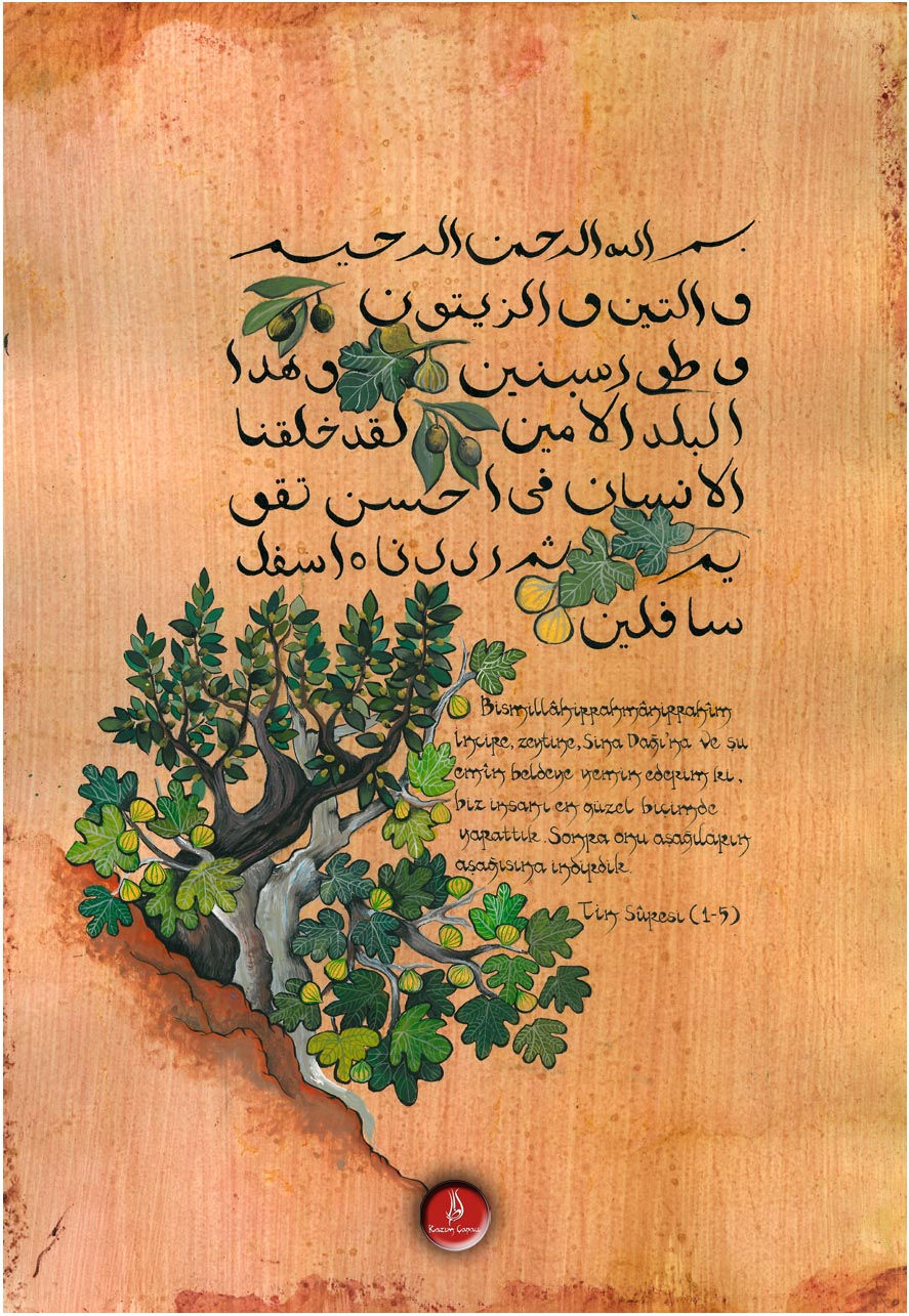 Tin Suresi