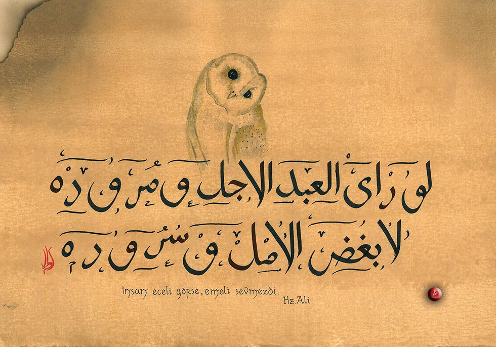 1704d