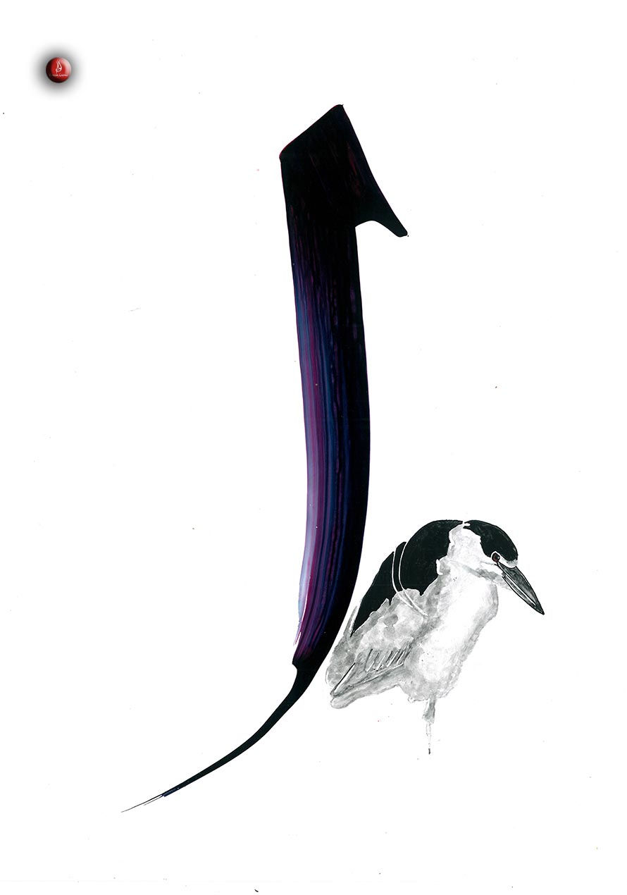 1797d