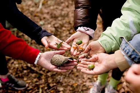 EmmaRayePhotography_BirdsallHouseNatureRetreat-60.jpg