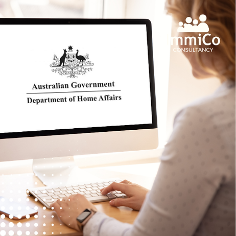 ImmiAccount application review