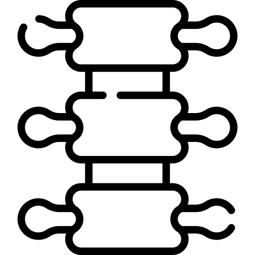 dorsal-spine_6289531.png