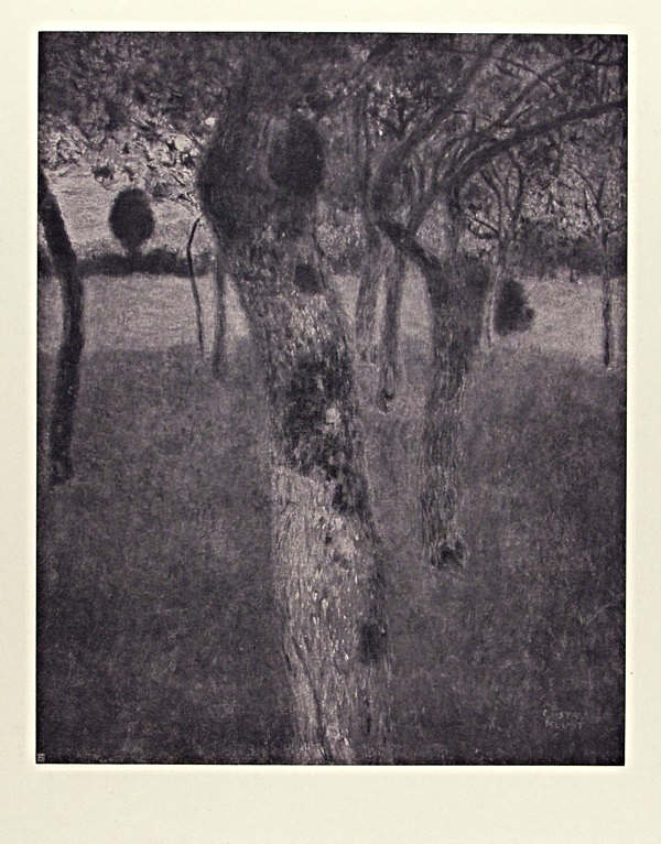 Fruit Trees