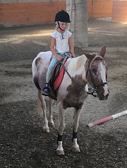 IMG_0461_Fotor Large.jpeg