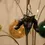 Thumbnail: Horned God Tree Decoration - Hand-sculpted and painted